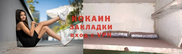 трава Инта