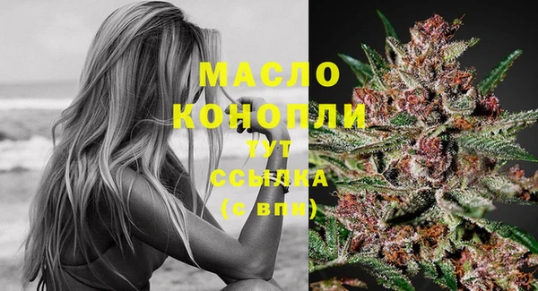 трава Инта