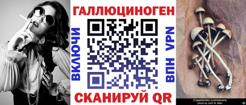 Купить закладки  Иланский  Галлюциногенные грибы GOLDEN TEACHER 